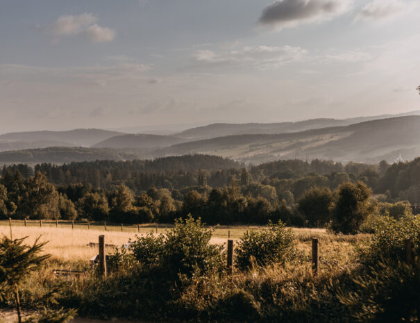 AlohaCamp-SowioGórska Ostoja-1